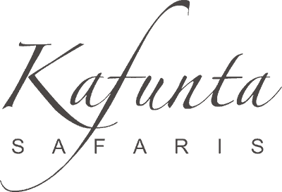 Kafunta Safaris