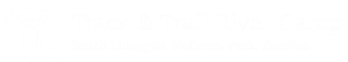 Track and Trail River Camp