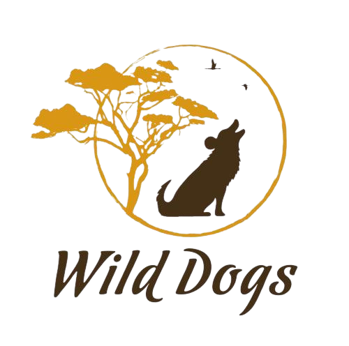 Wild Dogs Safaris